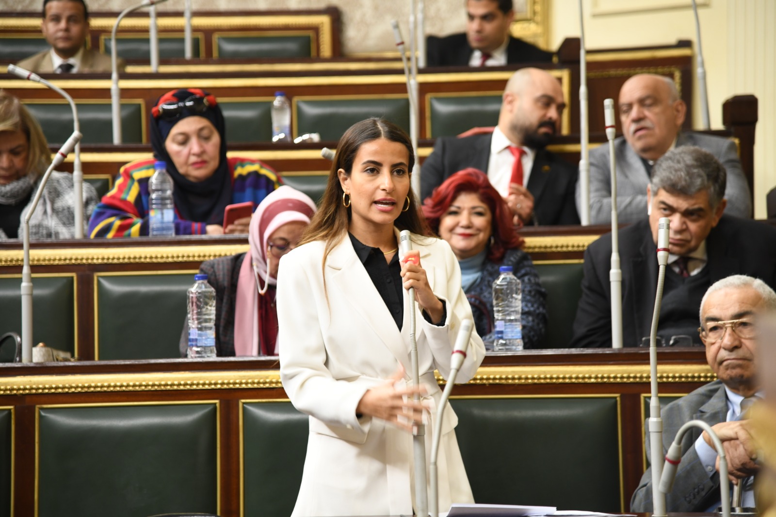 النائبه ايلاريا حارص: إداراج 5 مراكز شباب ضمن الخطة الانشائية لوزارة الرياضة